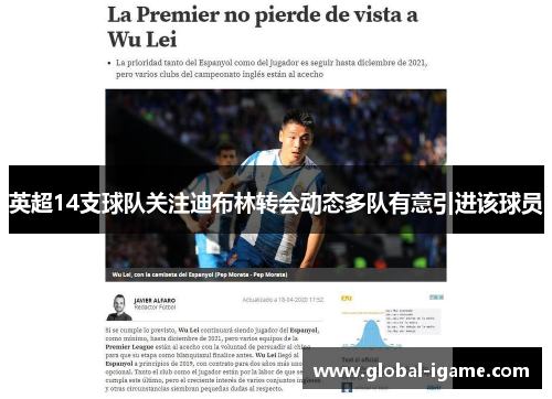 英超14支球队关注迪布林转会动态多队有意引进该球员