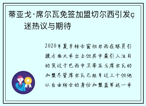 蒂亚戈·席尔瓦免签加盟切尔西引发球迷热议与期待